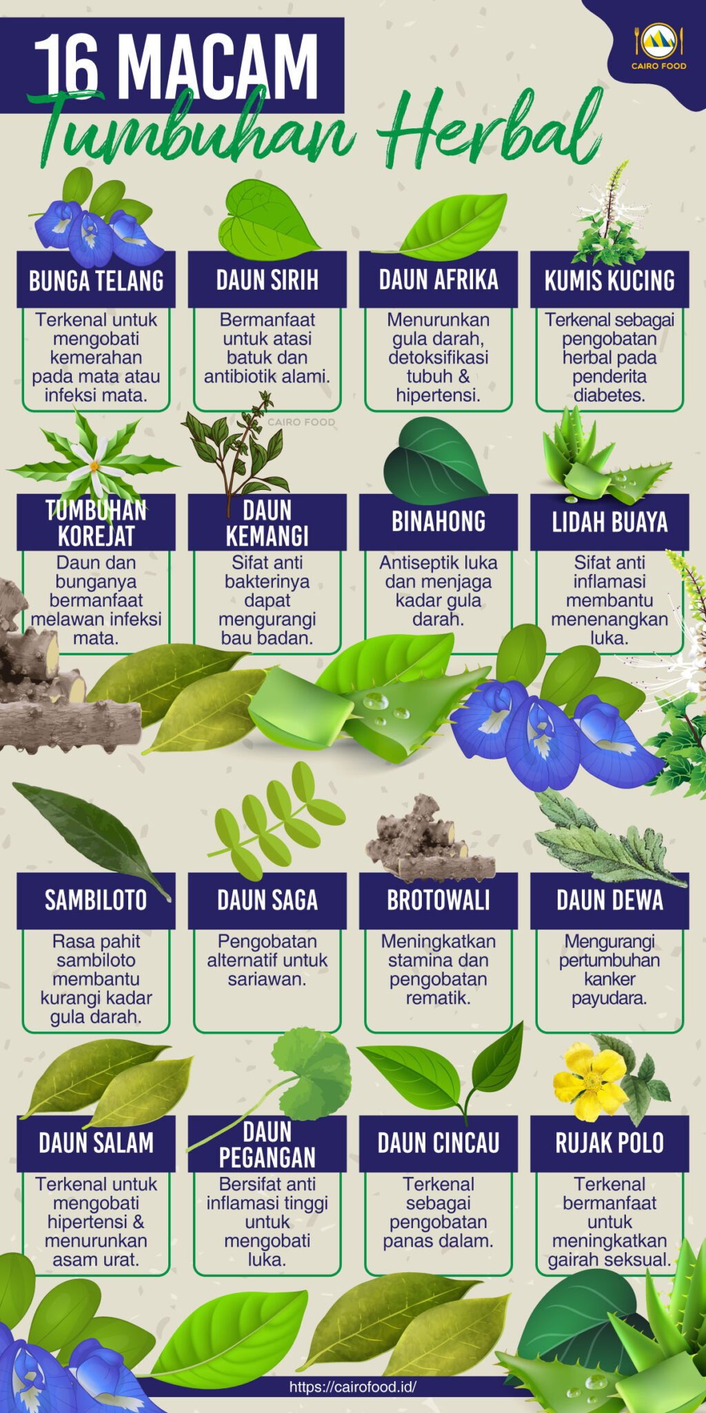5 Jenis Herba Yang Membantu Kecantikan Dari Dalam