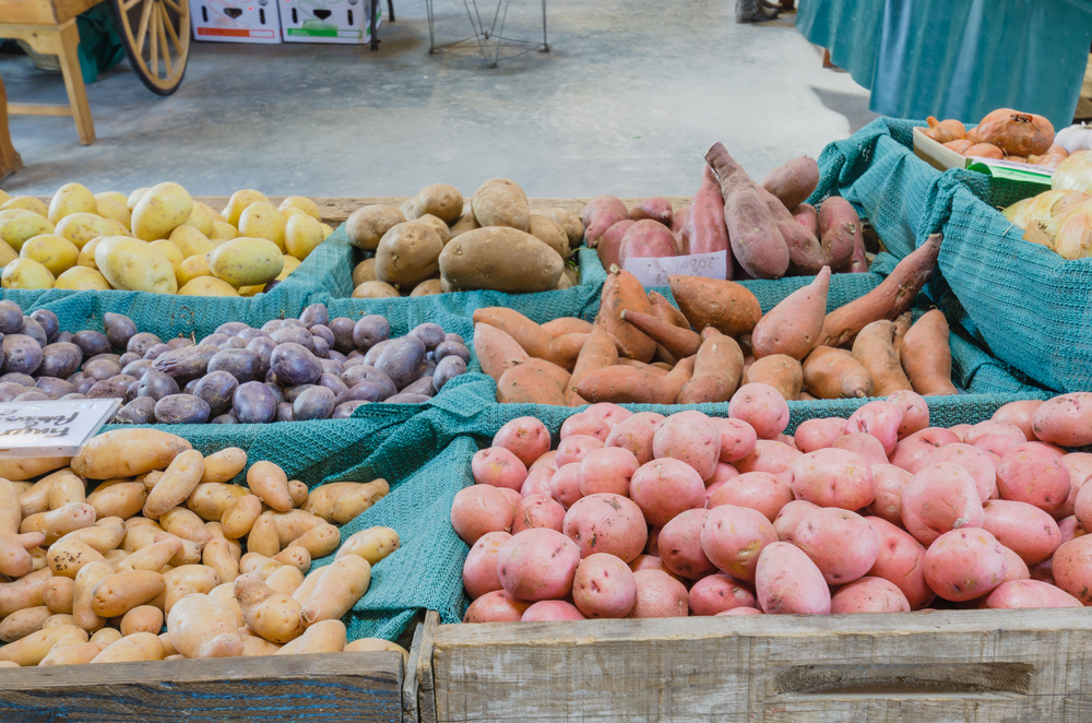 10 Jenis Tanaman Umbi-umbian: Sumber Karbohidrat yang Bergizi